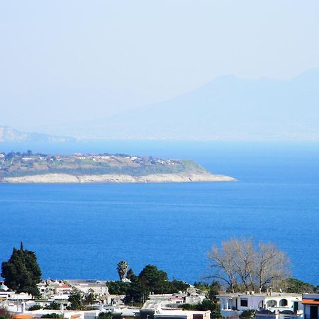 Parco Aurora Terme Otel Ischia Dış mekan fotoğraf